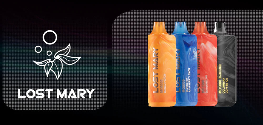 How To Safely Clean The Charging Port Of Your Lost Mary MO5000?