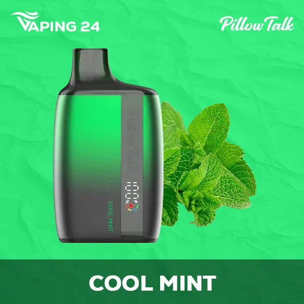 Pillow Talk Cool Mint Flavor - Disposable Vape