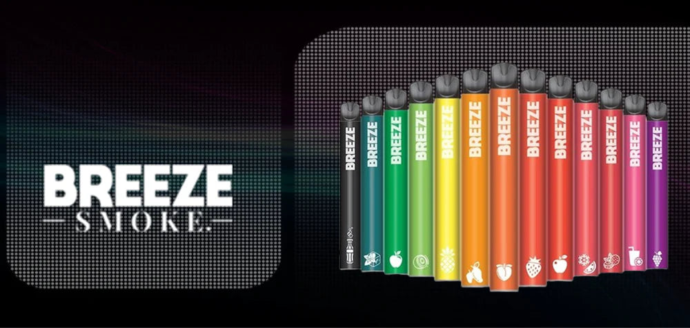 How Should I Store My Breeze Plus When Not in Use?