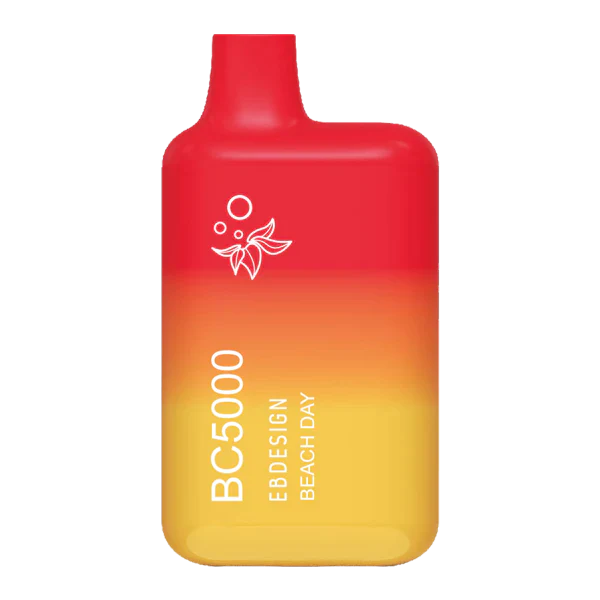 BC5000 - Beach day