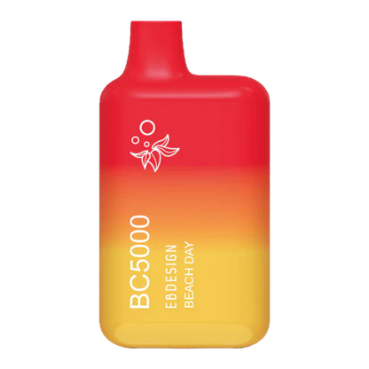 BC5000 - Beach day