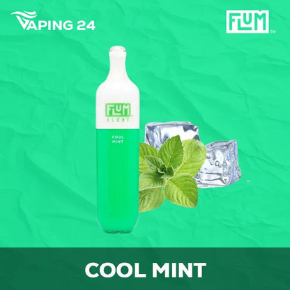 Flum Float - Cool Mint