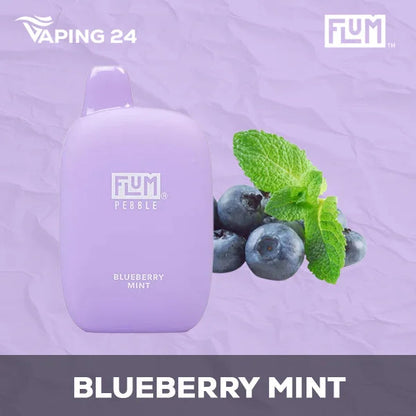 Flum Pebble - Blueberry Mint