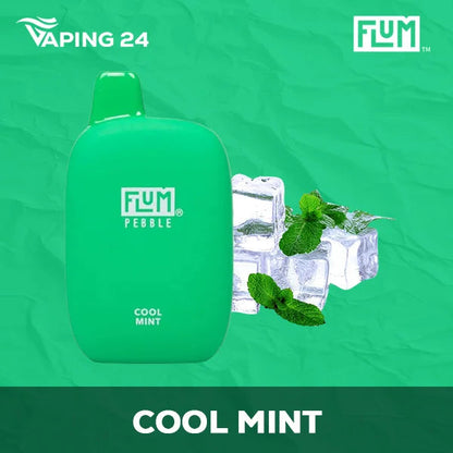Flum Pebble - Cool Mint