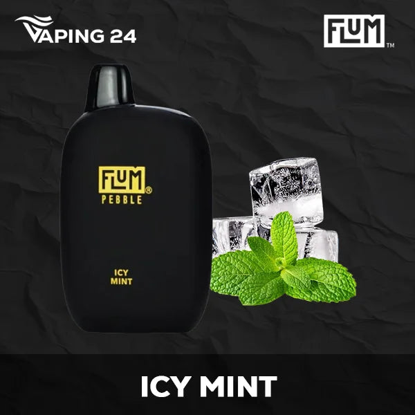 Flum Pebble - Icy Mint