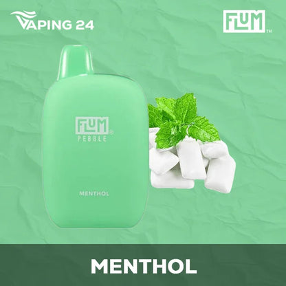Flum Pebble - Menthol