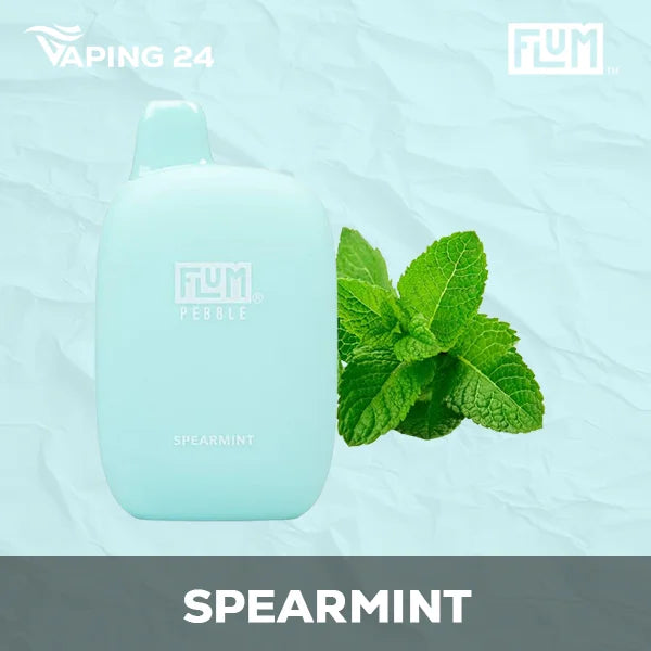Flum Pebble - Spearmint