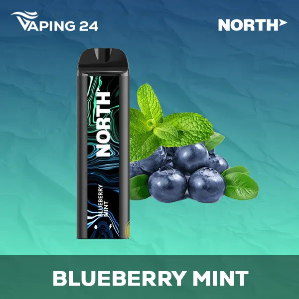 North 5000 Blueberry Mint Flavor - Disposable Vape