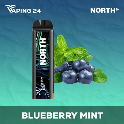 North 5000 Blueberry Mint Flavor - Disposable Vape