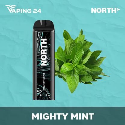 North 5000 Mighty Mint Flavor - Disposable Vape
