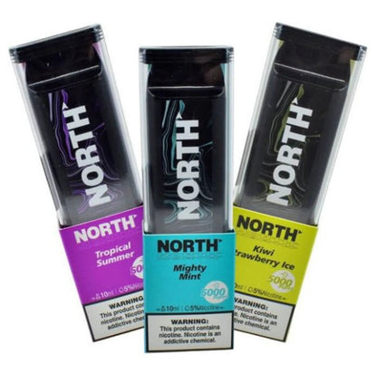 North 5000 Pink Lemonade Flavor - Disposable Vape