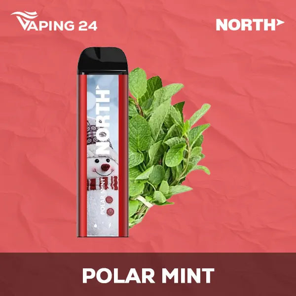 North 5000 Polar Mint Flavor - Disposable Vape