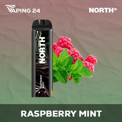 North 5000 Raspberry Mint Flavor - Disposable Vape