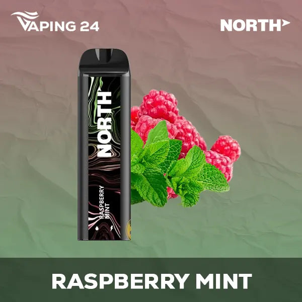 North 5000 Raspberry Mint Flavor - Disposable Vape