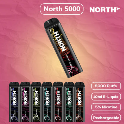 North 5000 Flavor - Disposable Vape