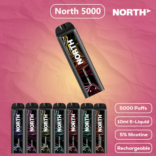 North 5000 Flavor - Disposable Vape