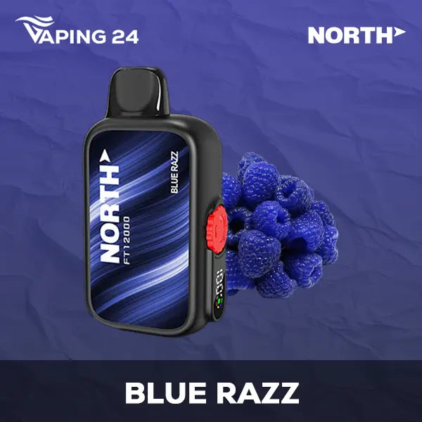 North FT12000 Blue Razz Flavor - Disposable Vape