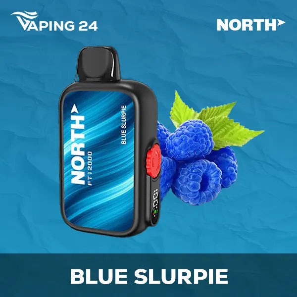 North FT12000 Blue Slurpie Flavor - Disposable Vape