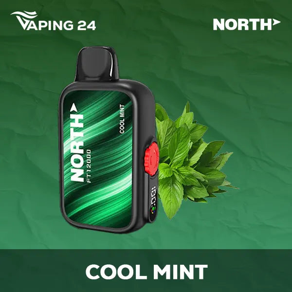 North FT12000 Cool Mint Flavor - Disposable Vape