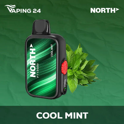 North FT12000 Cool Mint Flavor - Disposable Vape