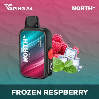 North FT12000 Frozen Raspberry Flavor - Disposable Vape