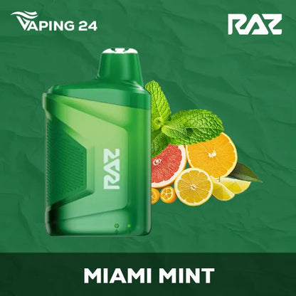 Raz CA6000 - Miami Mint