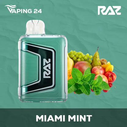 Raz TN9000 Miami Mint Flavor - Disposable Vape